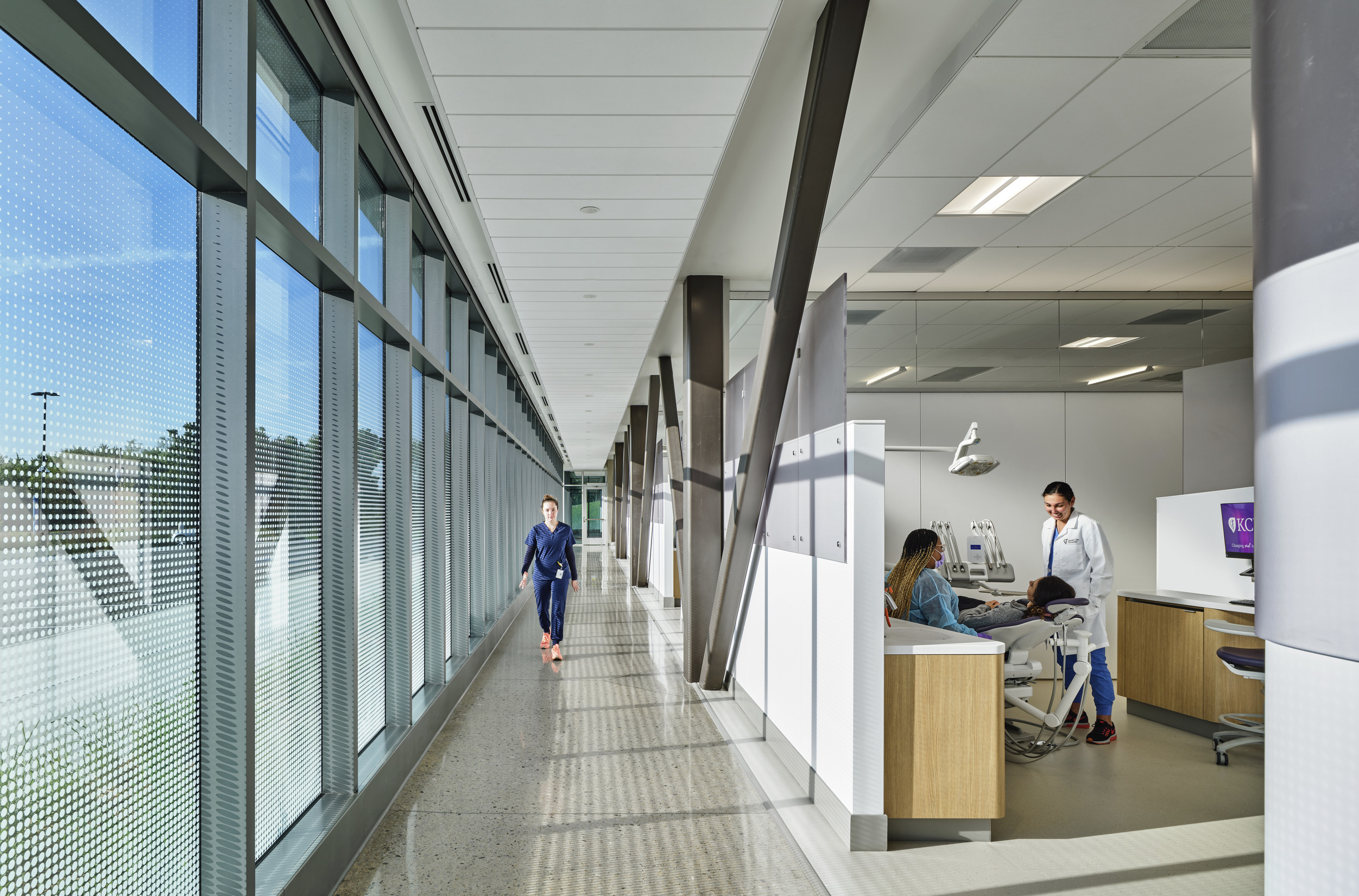 Advancing Wellness in Dental Education