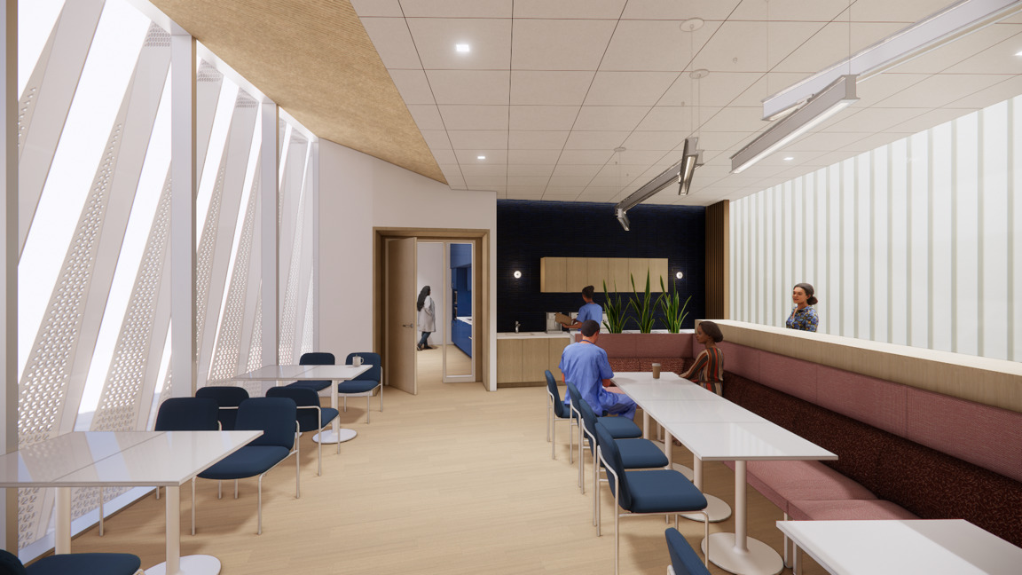 Advancing Wellness in Dental Education