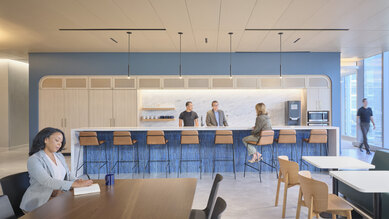 Confidential Client Office interiors