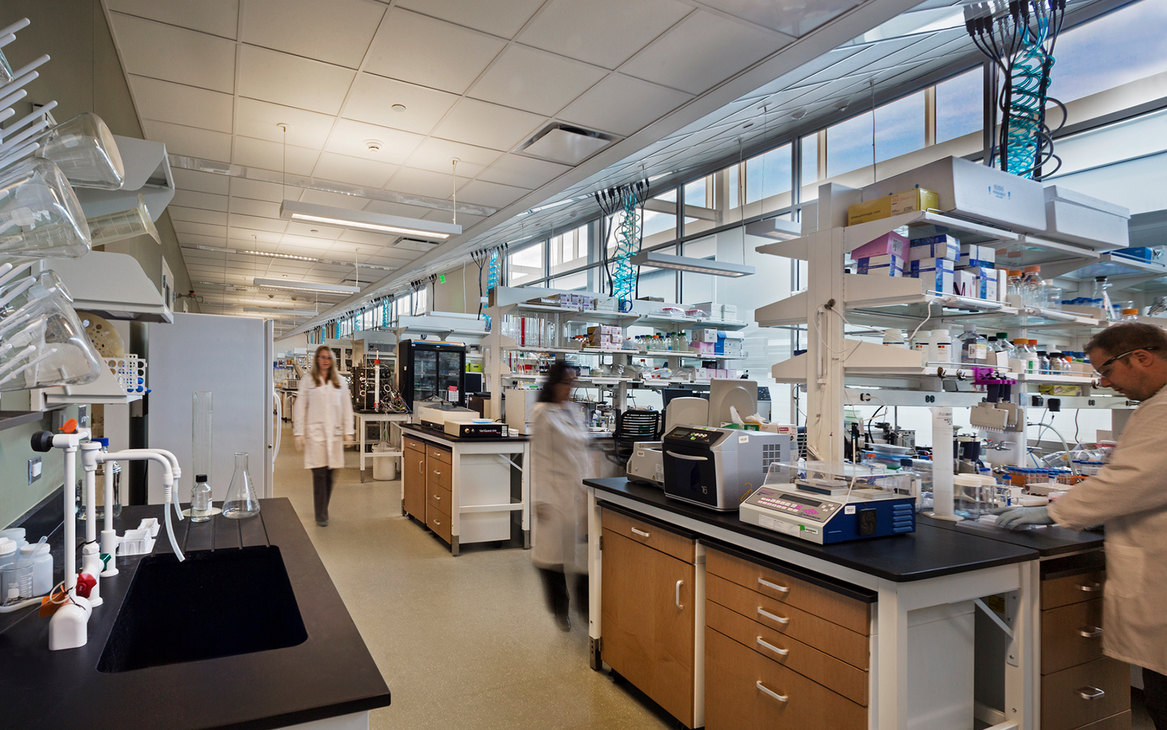 Argonne National Laboratory Advanced Protein Characterization Facility ...