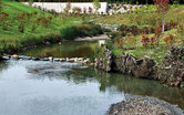 Gilkey Creek Restoration