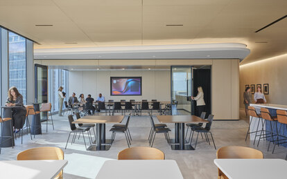 Confidential Client Office Interiors